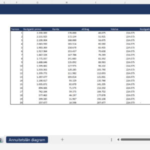 Amortizing Loan