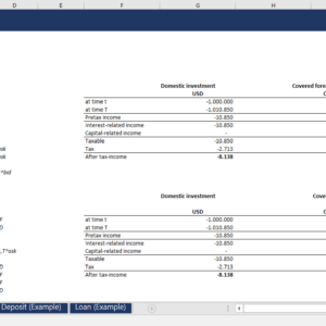 Domestic Loan and Foregin Loan