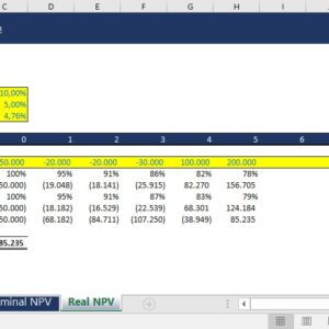 Real and Nominal NPV