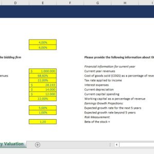 Synergy Valuation Worksheet